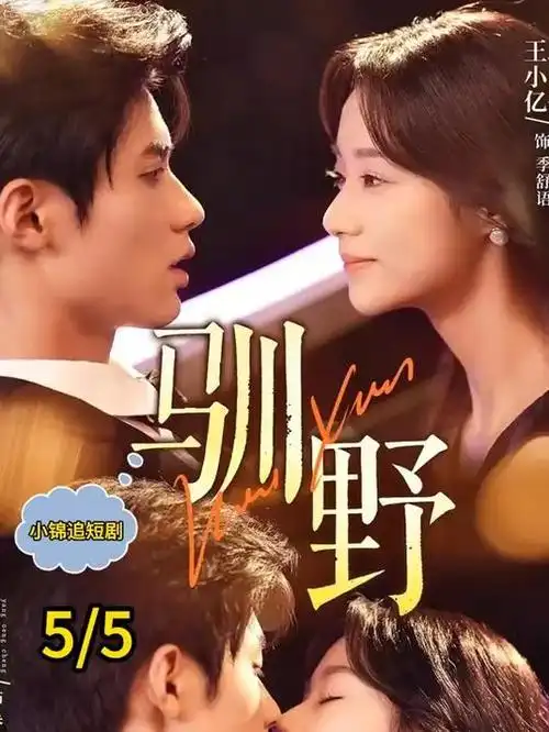 九号档案室谍战剧全集在线观看